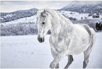 Reinders White Horse 61x91,5 cm (A109/80)