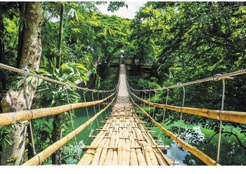 Reinders Jungle Bridge 61x91,5 cm