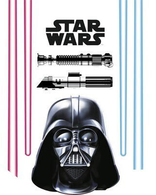Komar Wandtattoo Star Wars Darth Vader & Lightsaber 50x70 cm