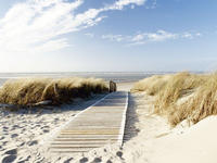 Artland Glasbild "Nordseestrand auf Langeoog - Steg" Strand 1 Stk. tlg. in