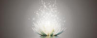 Art-Land Vadim Georgiev: Magie der Lotus-Blume 120x50cm grau