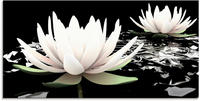 Artland Glasbild "Zwei Lotusblumen auf dem Wasser" Blumen 1 Stk. tlg. in