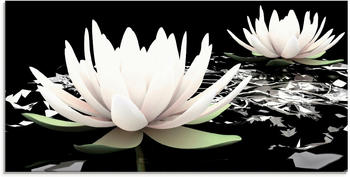 Art-Land Zwei Lotusblumen auf dem Wasser 60x30cm (23933733-0)
