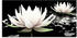Art-Land Zwei Lotusblumen auf dem Wasser 60x30cm (23933733-0)