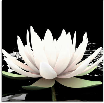 Art-Land Zwei Lotusblumen auf dem Wasser 30x30cm (70171001-0)