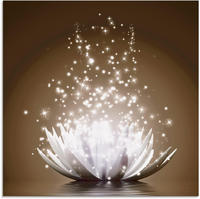 Artland Glasbild "Magie der Lotus-Blume" Blumen 1 Stk. tlg.