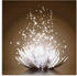 Art-Land Magie der Lotus-Blume 50x50cm (11775457-0)