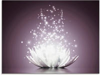 Artland Glasbild "Magie der Lotus-Blume" Blumen 1 Stk. tlg.