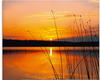Artland Glasbild »Landschaft mit Sonnenaufgang«, Sonnenaufgang & -untergang,...