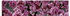 Art-Land Japanische Zierkirschen Blüte 60x45cm (53678126-0)