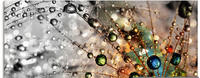 Artland Glasbild "Farbenfrohe Natur" Blumen 1 Stk. tlg. in verschiedenen Gr&ouml;&szlig;en