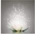 Art-Land Magie der Lotus-Blume 40x40cm (39544121-0)