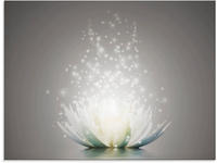 Artland Glasbild "Magie der Lotus-Blume" Blumen 1 Stk. tlg.