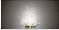 Artland Glasbild "Magie der Lotus-Blume" Blumen 1 Stk. tlg.