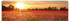 K&L Wall Art Wall-Art Mohnfeld im Sonnenuntergang Panorama 100x40cm (65208153-0)