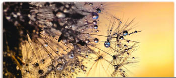 Art-Land Pusteblume mit Tautropfen benetzt 100x50cm (59714747-0)