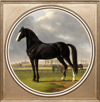 Queence Pferd 40x40cm (37277117-0)