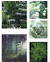 WOHNIDEE Pure Nature Besonnenheit 5er-Set 60x80cm grün