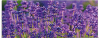 Art-Land Lavendelfeld in Tihany, Ungarn Felder lila 125x50 cm