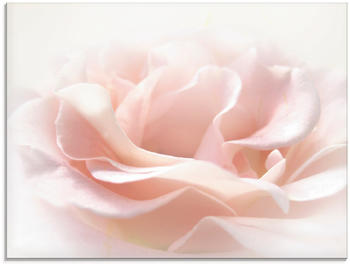 Art-Land Rose I Blumen rosa 60x45 cm