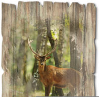Artland Holzbild "Hirsch 4 - Wald" Wildtiere 1 Stk. tlg.