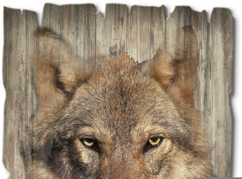 Art-Land Holzbild Wolf Wildtiere braun 30x40 cm