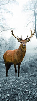 The Wall Art Hirsch 80x30cm (50409)