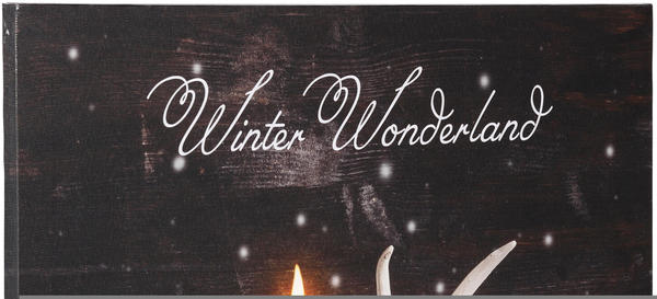 Dreams LED-Bild Winter Wonderland 50x40cm