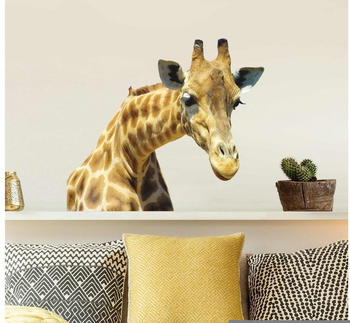 Apalis Giraffe No.21 Neugierige Giraffe 25cm x 30cm