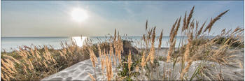 Pro-Art Look the Horizon 50x150cm (DG663E)
