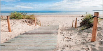 The Wall Art Dünenweg zum Strand 90x45cm (51177)