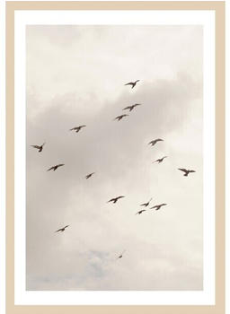 Bönninghoff Vögel 50x70cm