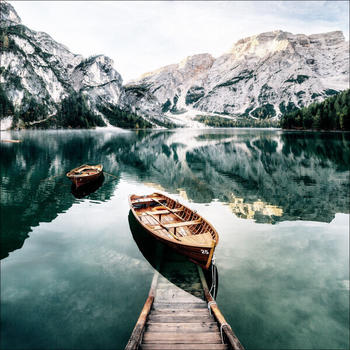 Pro-Art Wildsee 98x98cm (DG801L)