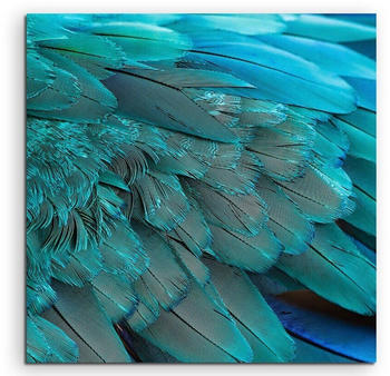 Sinus Art Naturfotografie Flügel 60x60cm