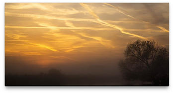 Sinus Art Sonnenaufgang im Nebel 50x100cm (900216169667)