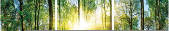 Euroart Sunrise in the Forest 3-teilig 30x90cm