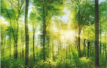 The Wall Art Wald 140x90cm (51157)