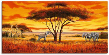 Art-Land Afrikanische Landschaft II 60x30cm (76439849-0)