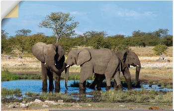 Art-Land Afrikanischer Elefant EtoshaNationalpark 90x60cm (54031968-0)
