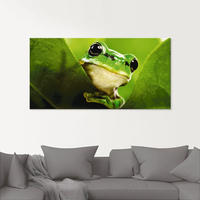 Artland Glasbild "Aussp&auml;hender Frosch" Wassertiere 1 Stk. tlg. in verschiedenen