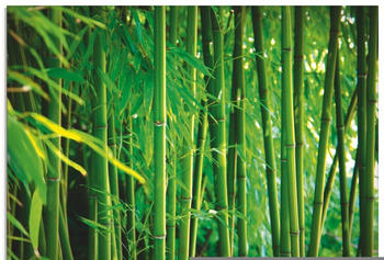Art-Land Bambus 80x60cm (37444745-0)