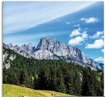 Art-Land Blick auf die Litzlalm in Österreich 60x40cm (58281439-0) Test TOP  Angebote ab 26,99 € (Oktober 2023)