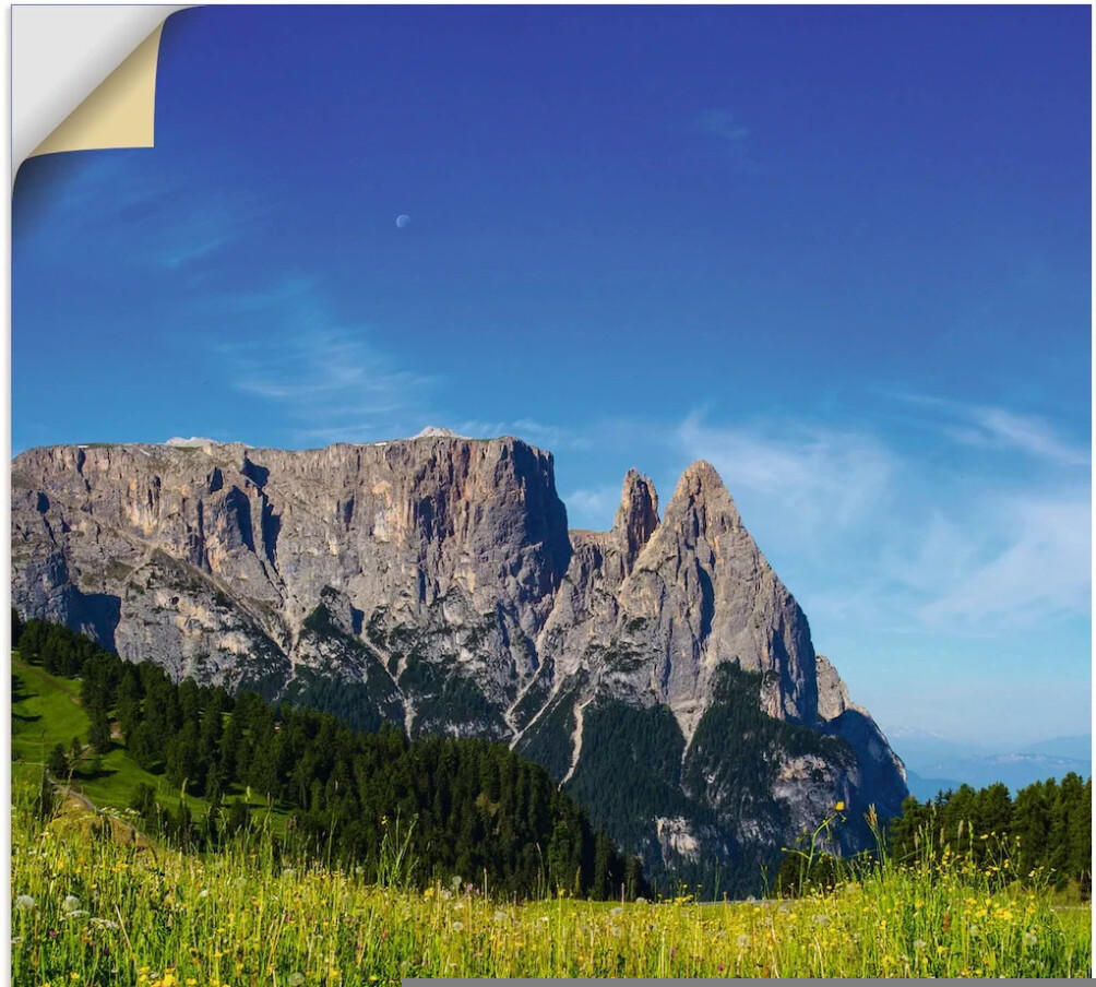 Blumenwiese Angebote Alm Test 2023) ab auf (Oktober Seiser (20903401-0) der Art-Land Südtirol 64,79 80x120cm TOP €
