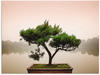 Artland Wandbild »Chinesischer Bonsaibaum«, Bäume, (1 St.), als Alubild,