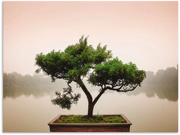 Art-Land Chinesischer Bonsaibaum 80x60cm (25752753-0)