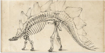 Art-Land Dinosaurier Lehre III 60x30cm (63447764-0)
