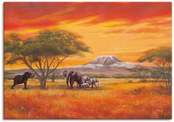 Art-Land Elefanten 60x30cm (38843847-0)