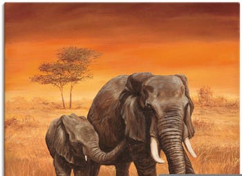 Art-Land Elefanten II 70x70cm (22920828-0)