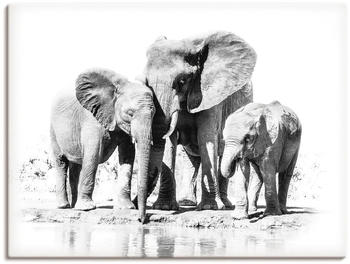 Art-Land Elefantenmutter mit Kindern 80x60cm (43553169-0)