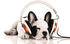 Bönninghoff Hund mit Kopfhörer 60x90cm (42217330-0)